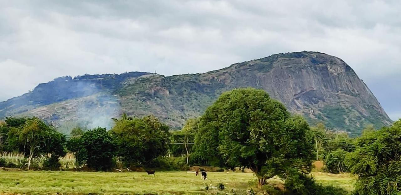 Tuscan Breeze, Nandi Hills Nandigunda エクステリア 写真