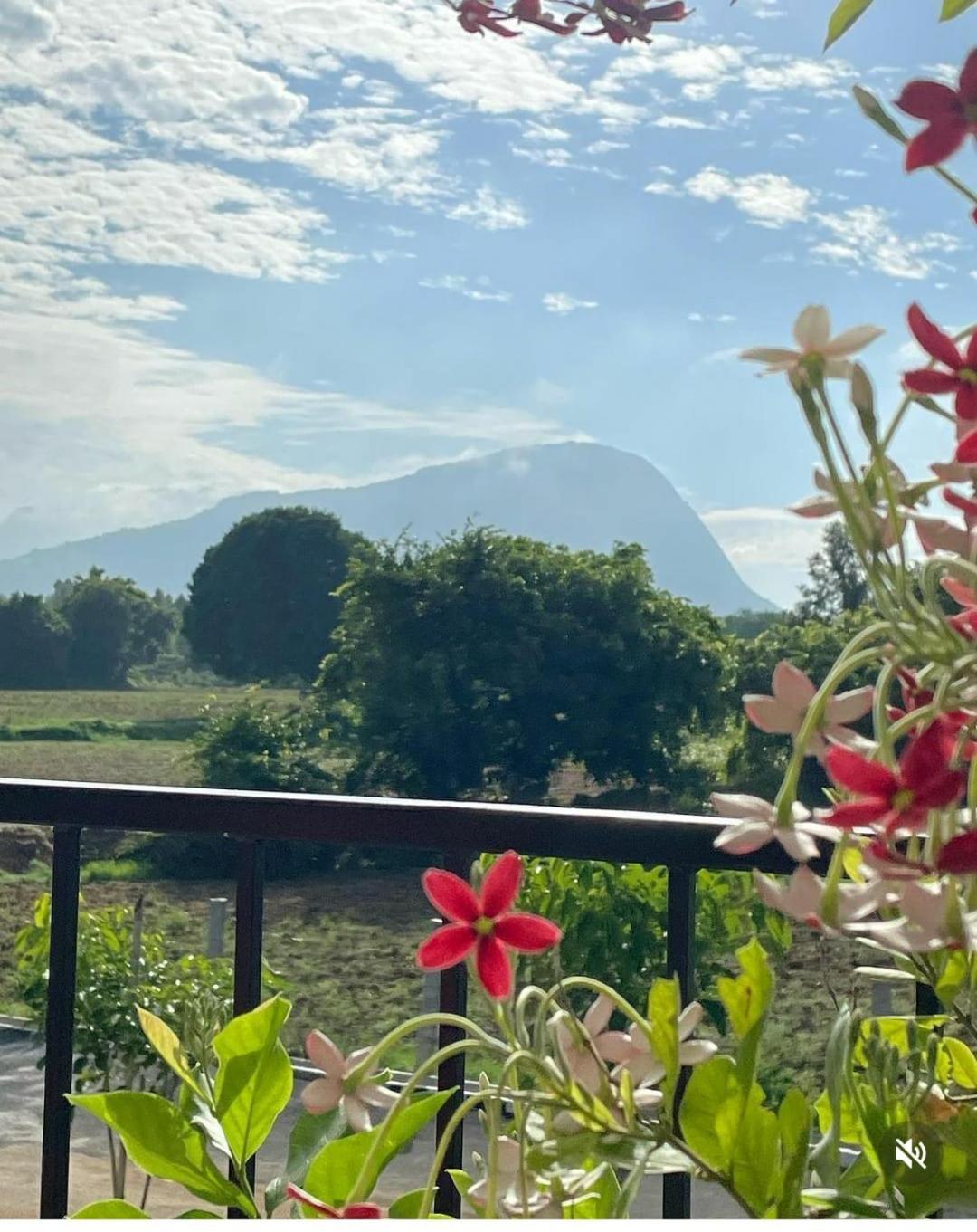 Tuscan Breeze, Nandi Hills Nandigunda エクステリア 写真